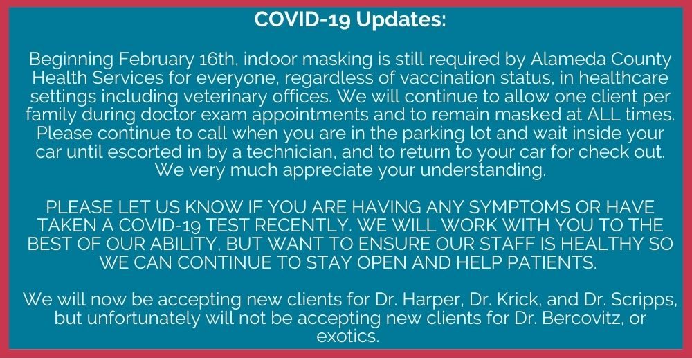 COVID-19 Updated